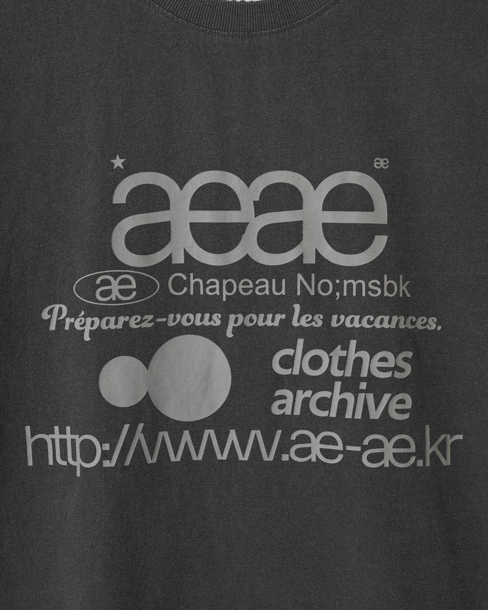 A close up image of a pigment black short sleeve t-shirt from Korean brand aeae with signature web logo design print in a light grey colour, for sale at Shim House
