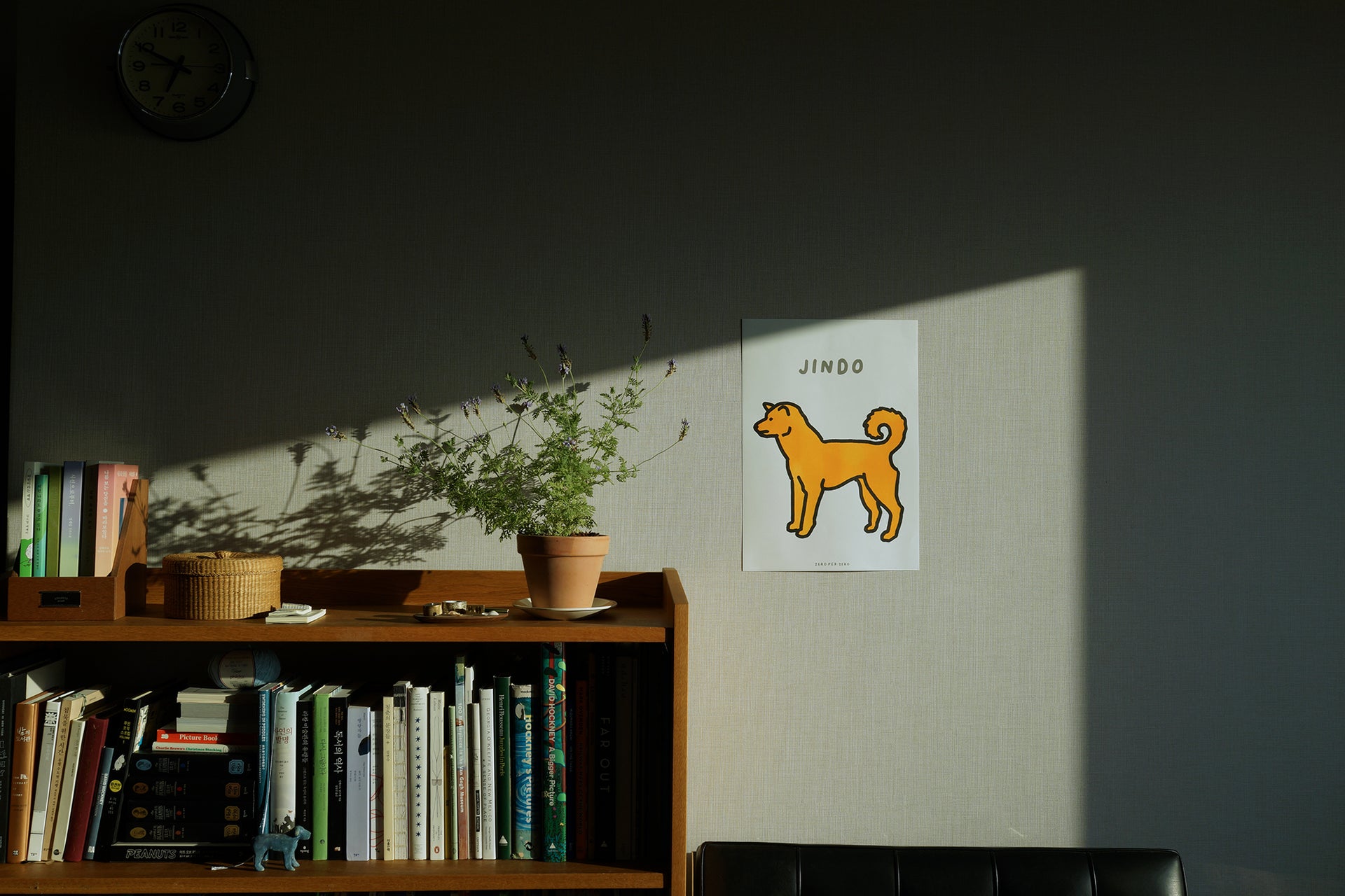 An A3 sized Korean Jindo Dog poster on a wall